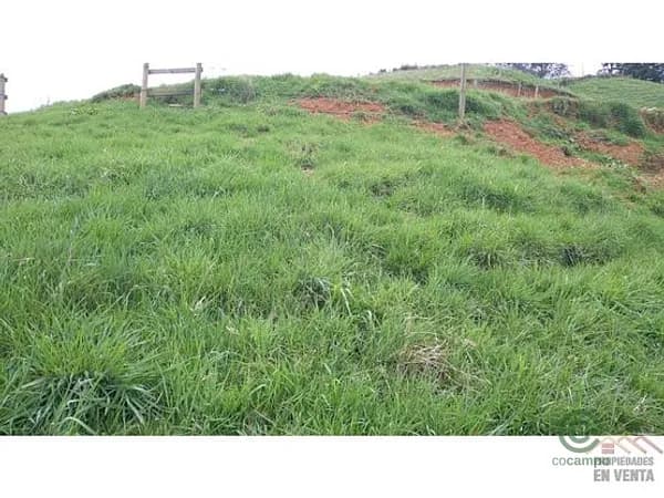 Terreno urbano de 0,1805 ha en venta en Antioquia