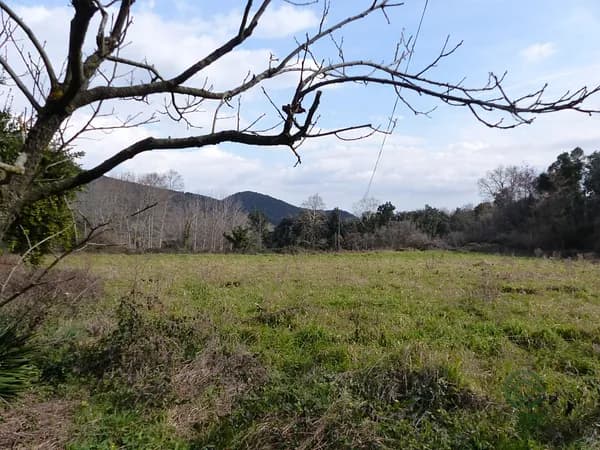 Agricultural property of 0,78 ha for sale in Barcelona