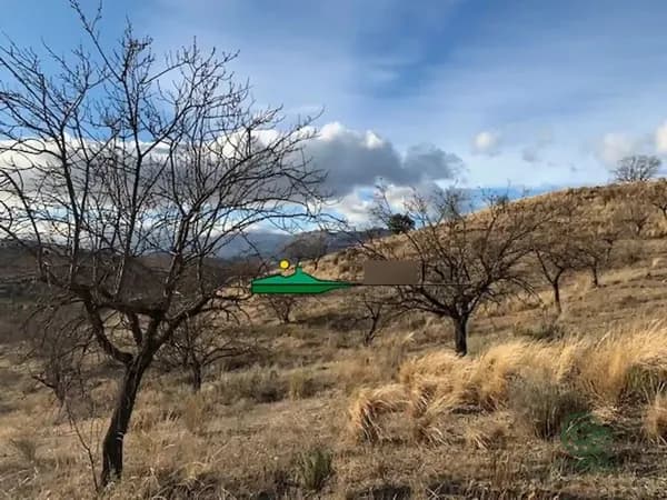 Finca agrícola de 5,2234 ha en venta en Velez-rubio, Almeria