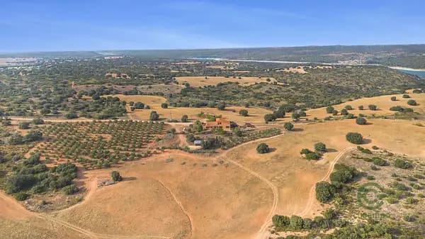 Finca agrícola de 920 ha en venta en Ciudad real