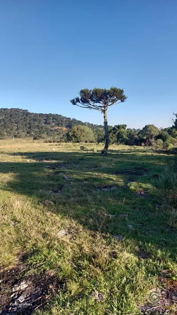 Fazenda agrícola de 2 ha para venda em Santa catarina