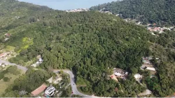 Terra urbana de 2,8 ha para venda em Santa catarina