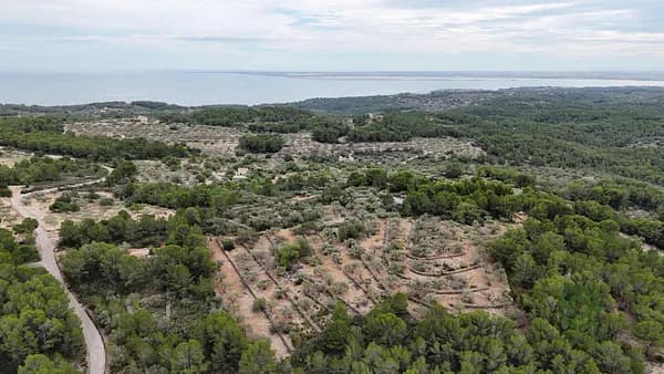Finca rústica de 0,6479 ha en venta en El perello, Tarragona