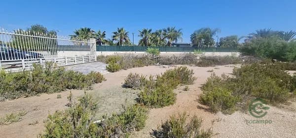 Finca rústica de 1,7 ha en venta en La hoya, Alicante
