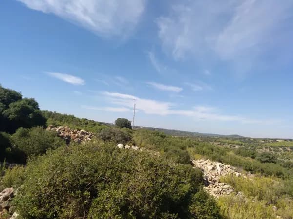 Finca rústica de 475 ha en venta en Albacete
