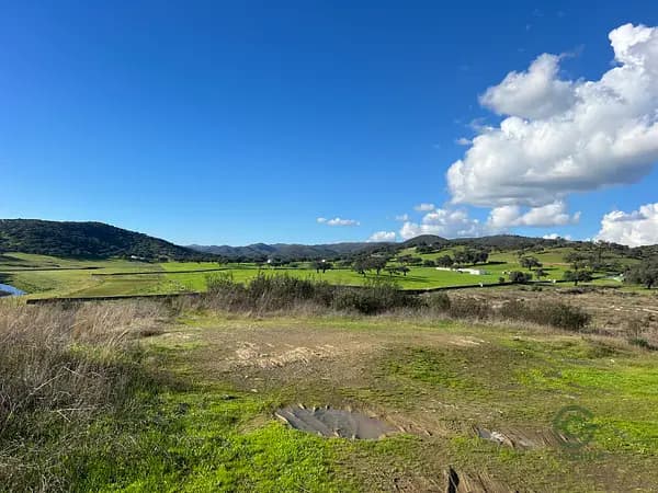 Finca rústica de 270 ha en venta en Huelva