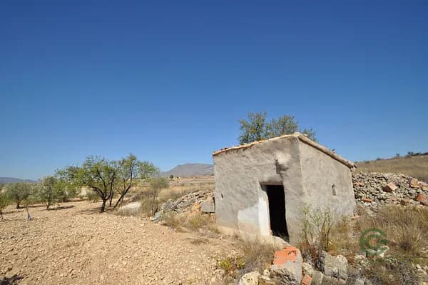 Finca agrícola de 1,1774 ha en venta en Murcia