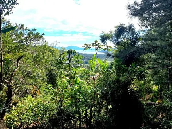 Terra urbana de 2,79 ha para venda em Santa catarina