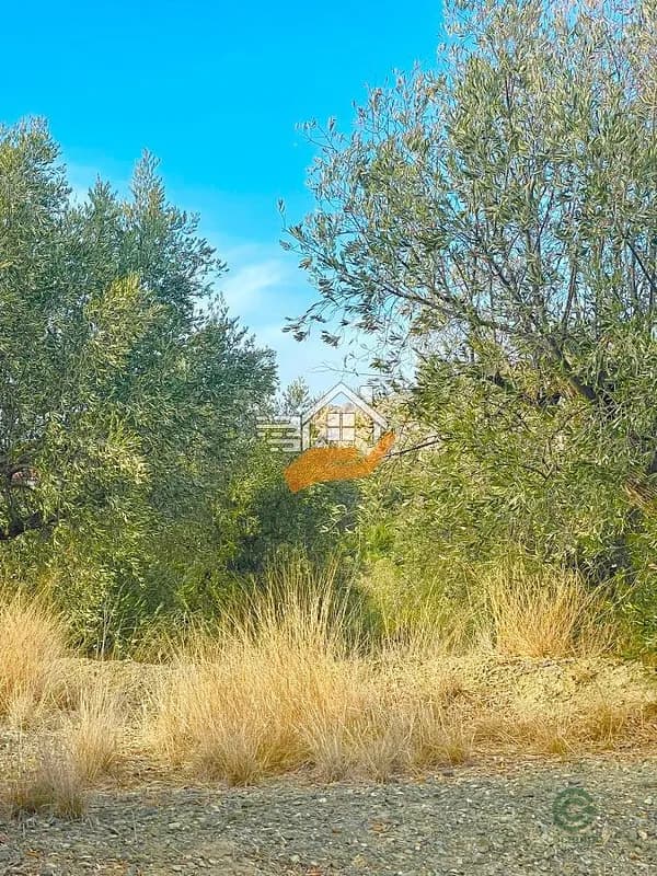 Finca agrícola de 0,7 ha en venta en Velez-rubio, Almeria