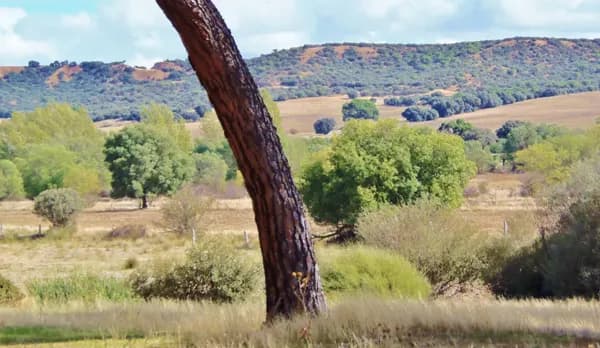 Finca rústica de 1000 ha en venta en Segovia