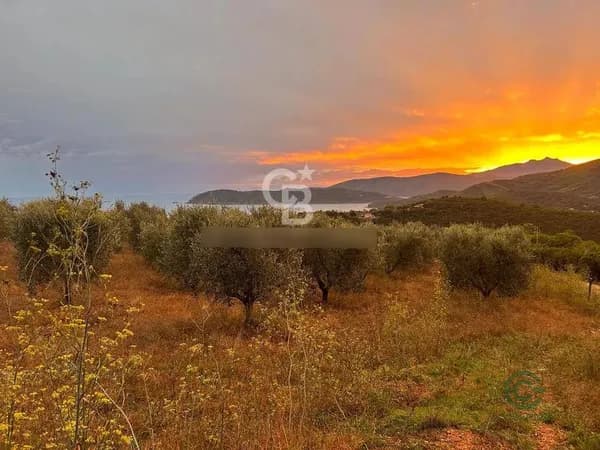 Finca agricola di 2,18 ha per vendita a Toscana