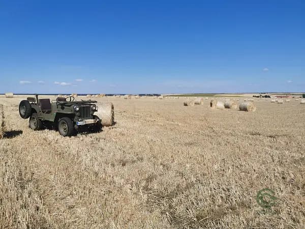 Finca rústica de 150 ha en venta en Salamanca