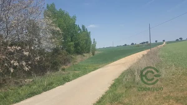 Finca rústica de 14 ha en venta en Guadalajara