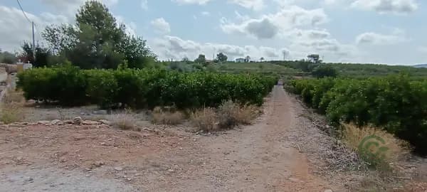 Finca agrícola de 7,25 ha en venta en Valencia