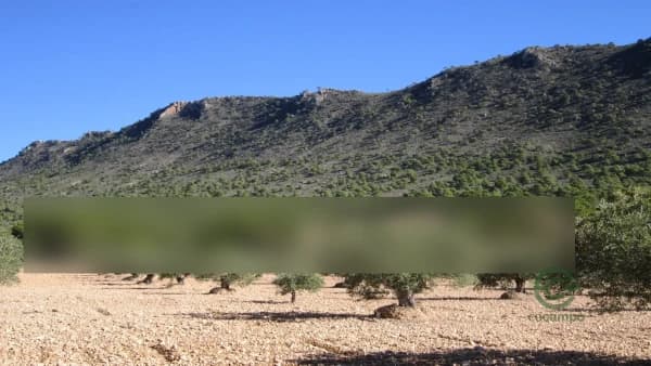 Finca agrícola de 1,9496 ha en venta en Yecla, Murcia