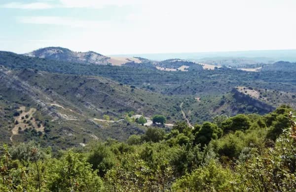 Finca rústica de 200 ha en venta en Guadalajara
