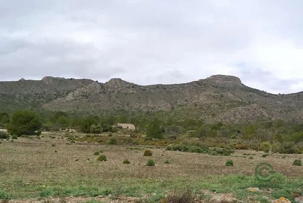 Finca rústica de 595 ha en venta en Yecla, Murcia