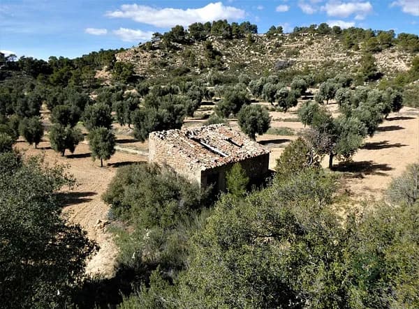 Finca rústica de 4,2 ha en venta en Maella, Zaragoza
