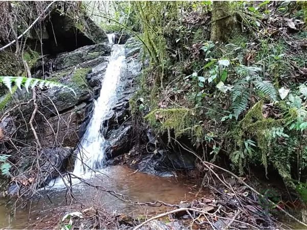 Finca rústica de 0,5 ha en venta en Antioquia