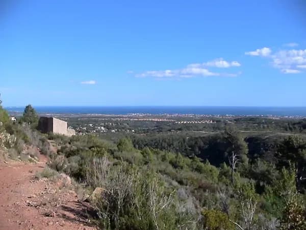 Finca rústica de 30 ha en venta en Tarragona