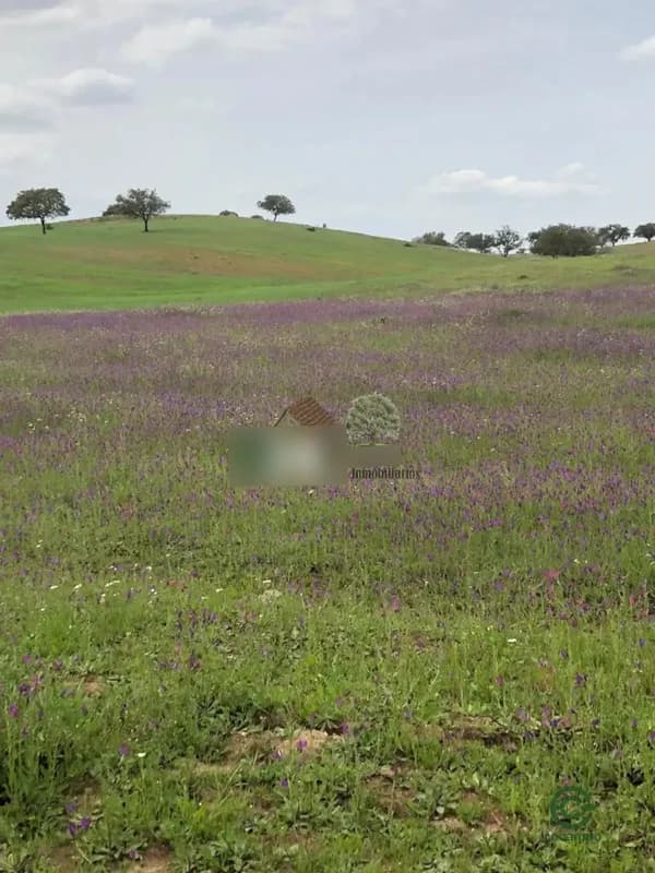 Finca rústica de 160 ha en venta en Huelva