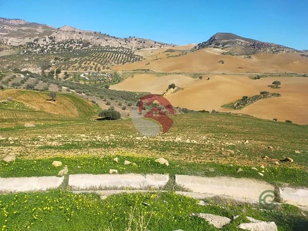 Finca de recreo de 0,6 ha en venta en Málaga