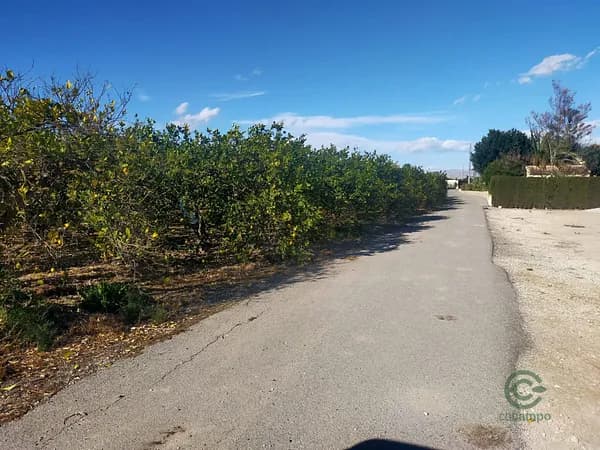 Finca rústica de 1,2 ha en venta en Elche pedanias, Alicante