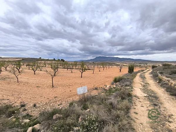 Finca agrícola de 2,45 ha en venta en Pinoso, Alicante