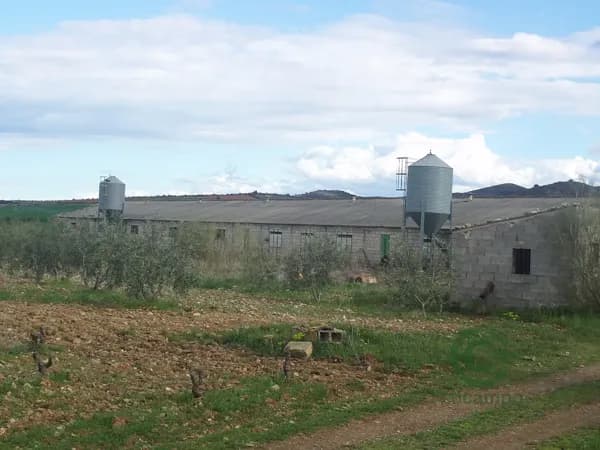 Finca rústica de 1 ha en venta en Zaragoza