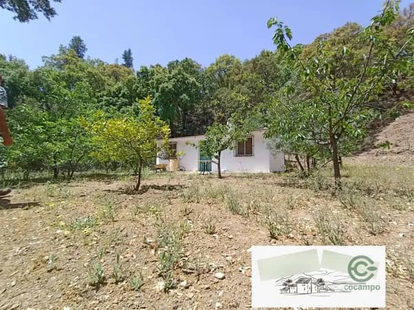 Finca rústica de 2,5 ha en venta en Jubrique, Málaga