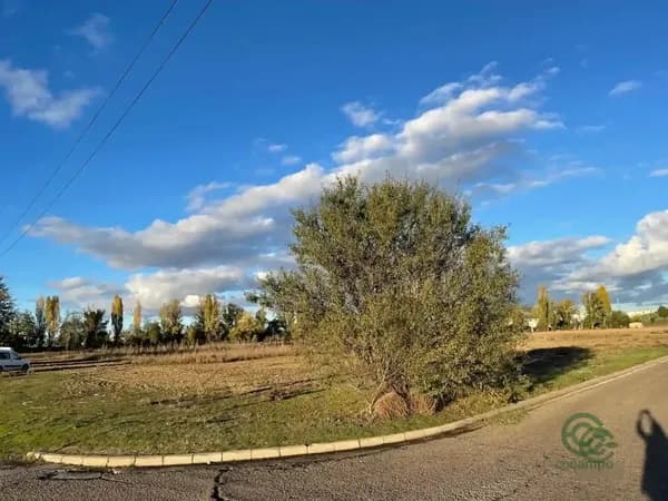 Finca agrícola de 1,4839 ha en venta en Laguna de duero, Valladolid
