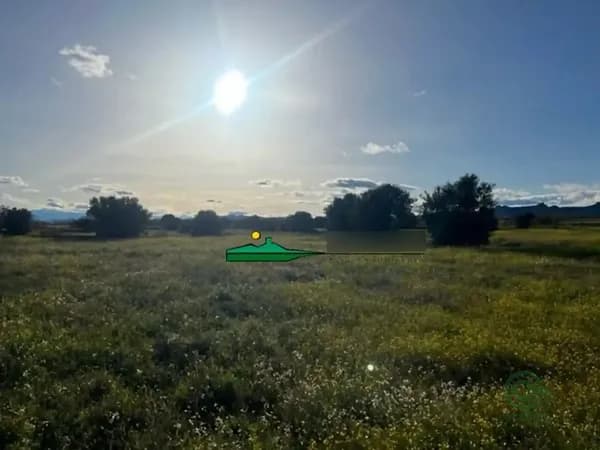 Finca agrícola de 4,0156 ha en venta en Huercal-overa, Almeria