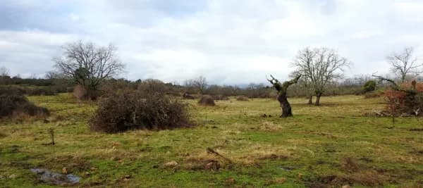 Finca rústica de 500 ha en venta en Cáceres