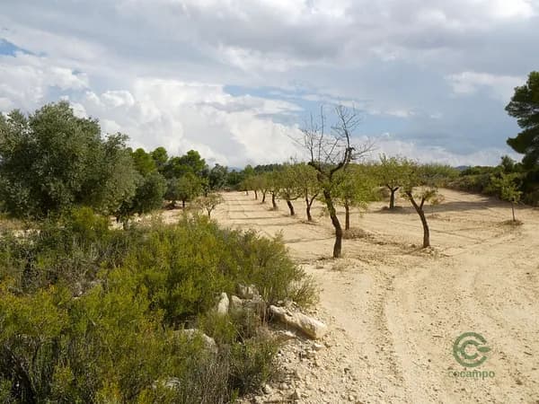 Finca agrícola de 2,19 ha en venta en Teruel