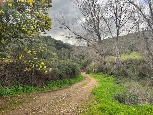 Finca rústica de 60,1 ha en venta en Huelva