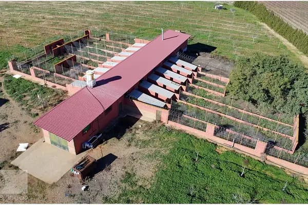 Finca agrícola de 6,5 ha en venta en Huelva