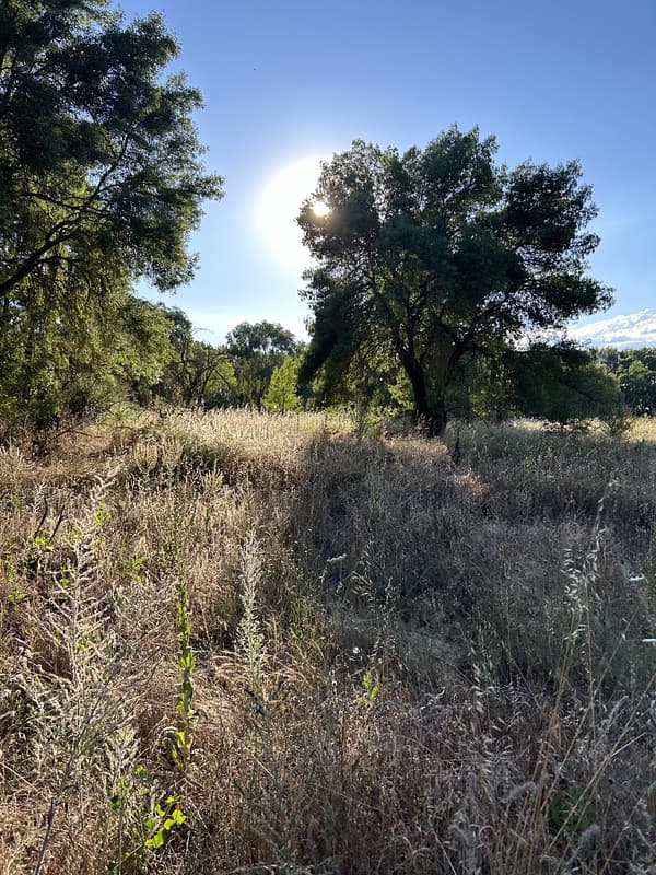 Finca rústica de 60 ha en venta en Madrid