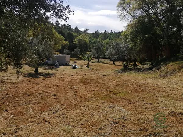 Rustic property of 1 ha for sale in Santarém