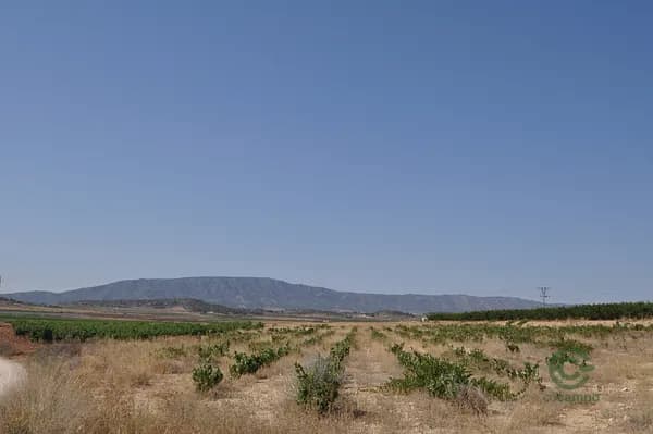 Finca agrícola de 0,59 ha en venta en Pinoso, Alicante