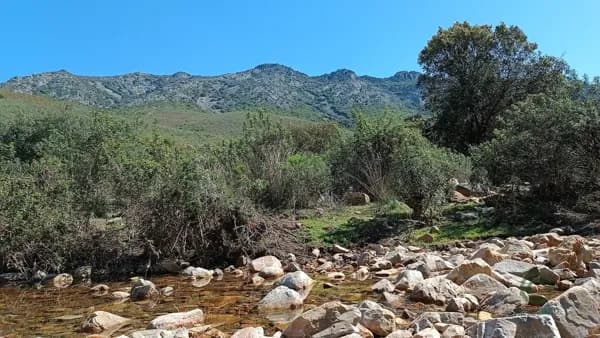 Finca cinegética de 345 ha en venta en Cáceres