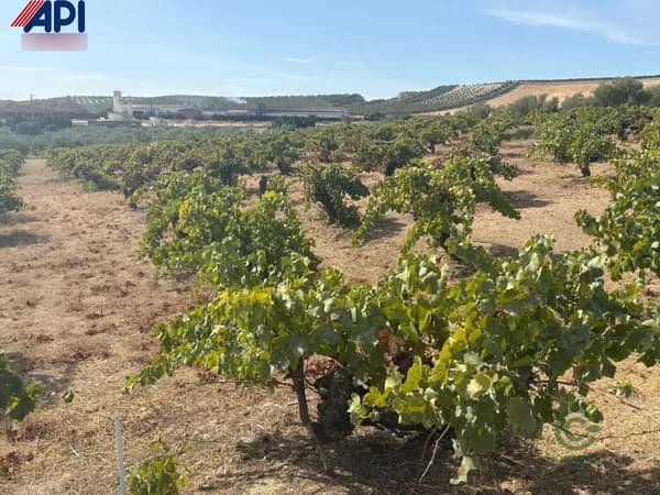 Finca agrícola de 0,36 ha en venta en Bailen, Jaen