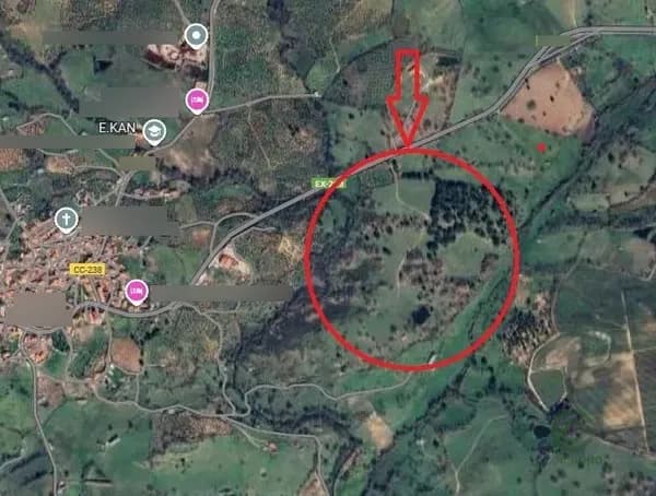 Finca rústica de 26,3 ha en venta en Tejeda de tietar, Caceres