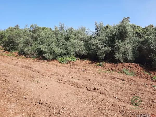Terreno urbano de 0,1457 ha en venta en Córdoba, Córdoba