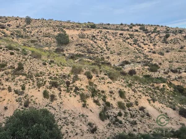 Finca rústica de 1,1994 ha en venta en Murcia