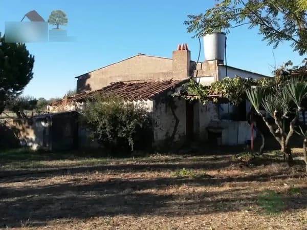 Finca rústica de 6 ha en venta en Badajoz