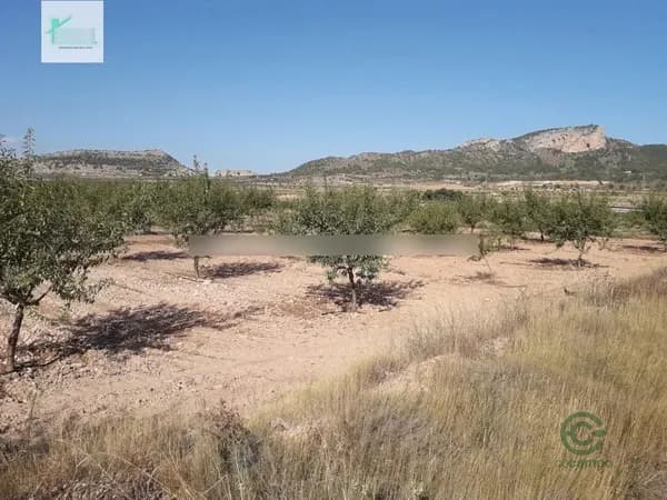 Finca agrícola de 2,23 ha en venta en Monovar - monover, Alicante