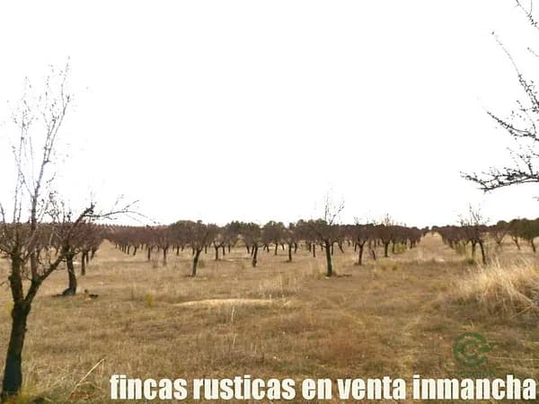 Finca agrícola de 73 ha en venta en Toledo