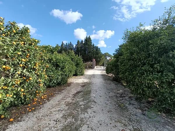 Finca agrícola de 1,5 ha en venta en Jerez de la frontera, Cádiz