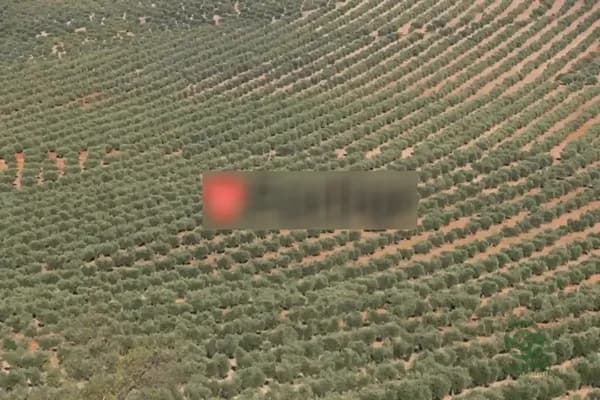 Finca agrícola de 3 ha en venta en Alcaudete, Jaen