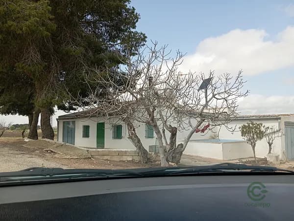 Finca rústica de 5,5 ha en venta en Murcia